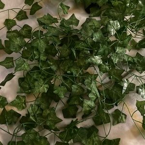 23(give or take) Green Decorative Vines